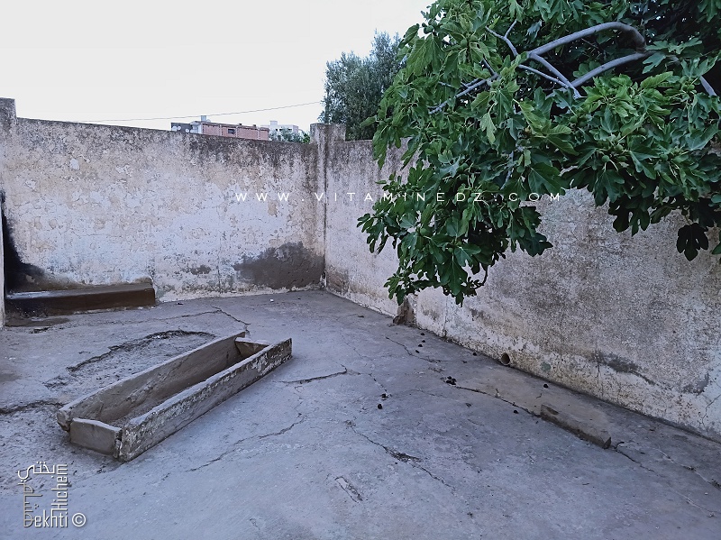 Mausolée (Darih) de Sidi Othmane au quartier de Tlemcen portant son nom.