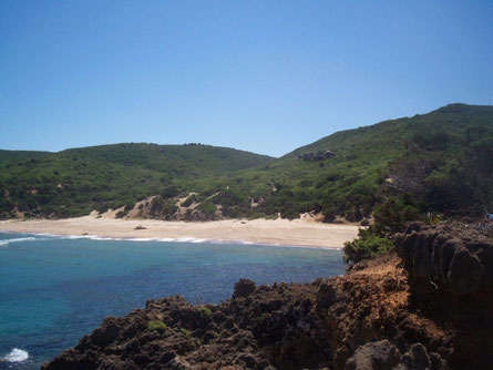 Plage boutribicha el kala