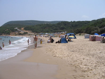 Plage Cap Rosa (El Kala)