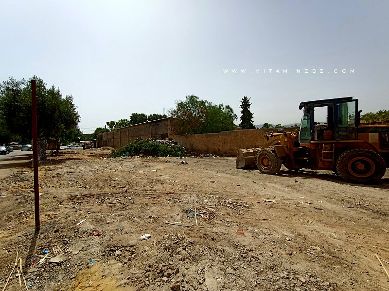 Marché d'Abou Tachefine (rasé) سوق الخضر أبو تاشفين