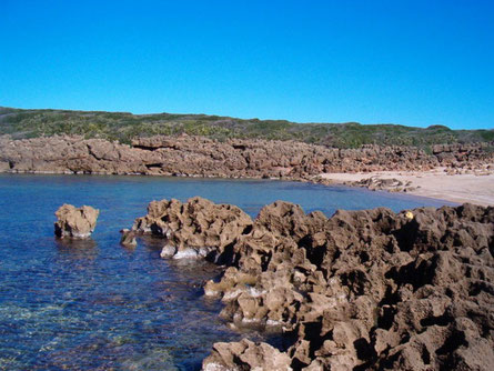 Plage Fkirina (El Taref)