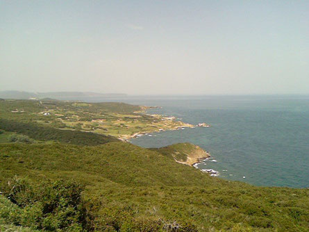 Plage M'ziraa (El Taref)