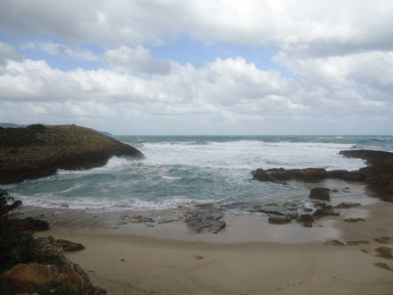 Plage Laouinet (El Taref)