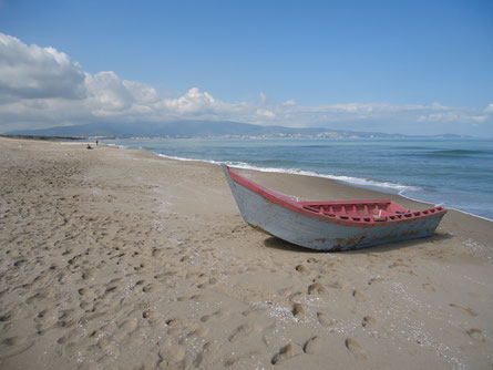 Plage Echatt (El Taref)