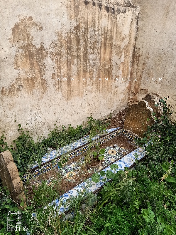 Qui sont les familles enterrées dans le carré de Sidi Senoussi?