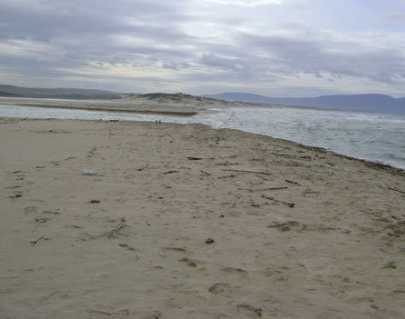 Plage Cheikh Rabah (Skikda)