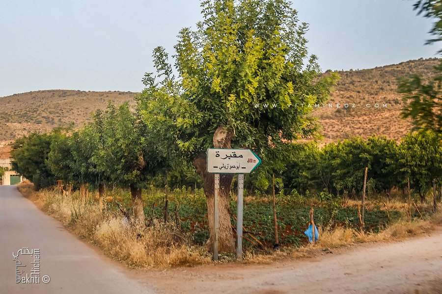 Cimetière Abou Hamou Ziani à Ain Fezza