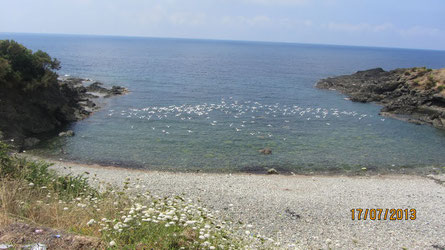 Crique Port Maria (Jijel)