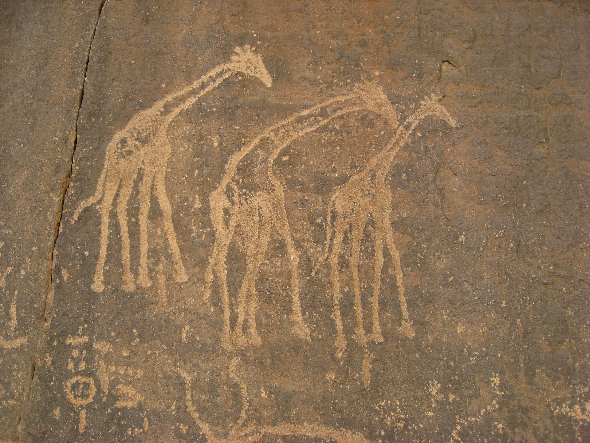 Peintures rupestres-écriture ancienne -Sahara