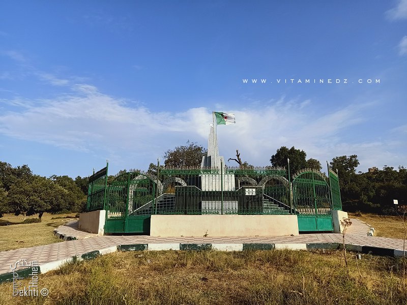 La forêt de Hafir (Tlemcen) haut lieu historique durant la guerre de libération nationale