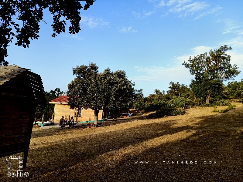 Joli espace vert et cafétéria à la forêt de Hafir (Tlemcen)