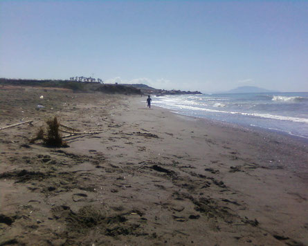 Plage Douaouda Marine ou Colonel Abbes (Tipaza)