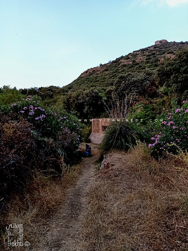 Ain Bou Ighzene sur une piste menant de Sabra vers la fôret de Hafir