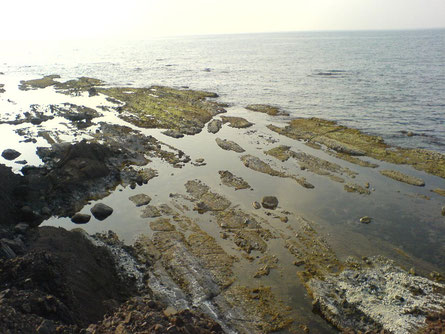 Plage Zebouj (Tipaza)