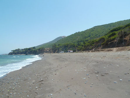 Plage Gounini (Tipaza)