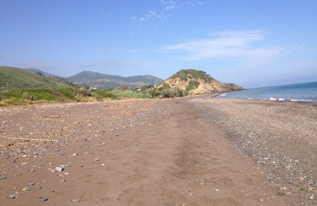 Plage Bois sacré ou El Kaid (Tipaza)