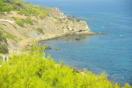 plage Ikhlifayen (Tipaza)