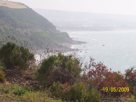 Plage El Gantra Laaouja (Le Pont Déformé) (Chlef)