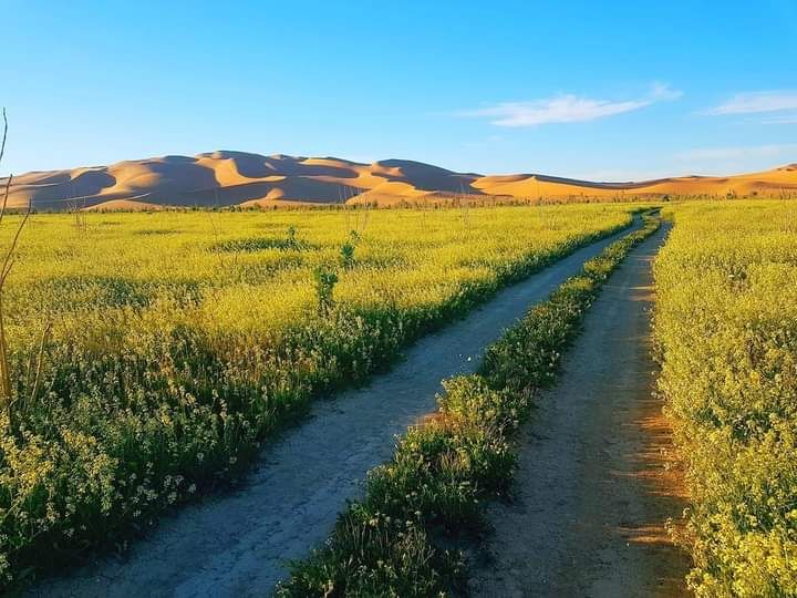 Illizi, une destination a remettre dans les circuits touristiques, #Algérie..!