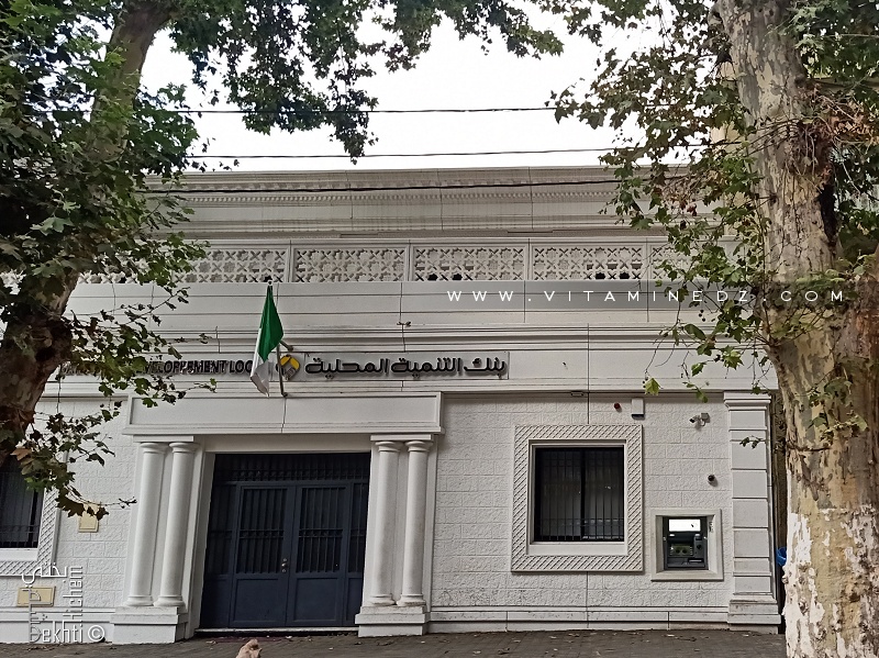 BDL Allée des Pins Tlemcen