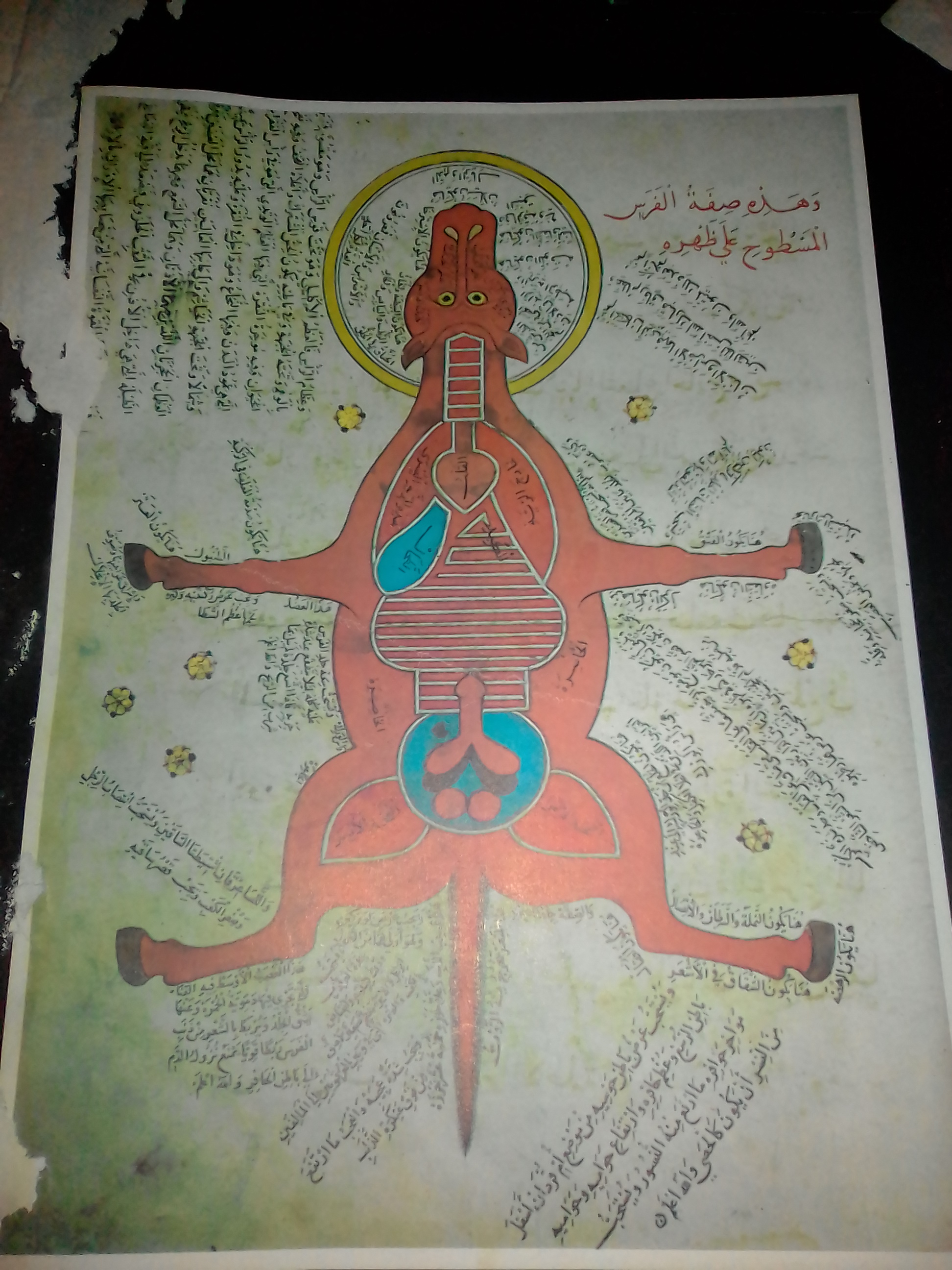 العلوم في الإسلام