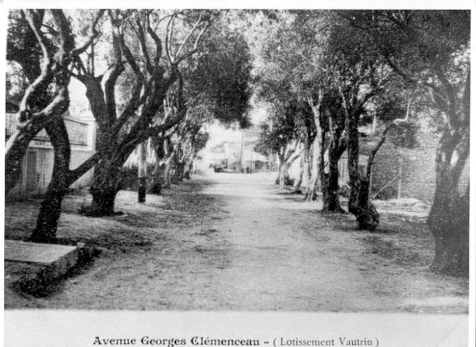 Avenue Georges Clémenceau (Lotissement Vautrin)
