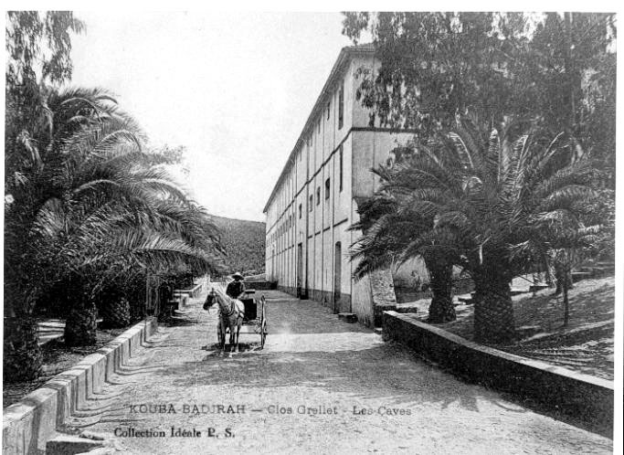 KOUBA-BADJRAH- Les caves