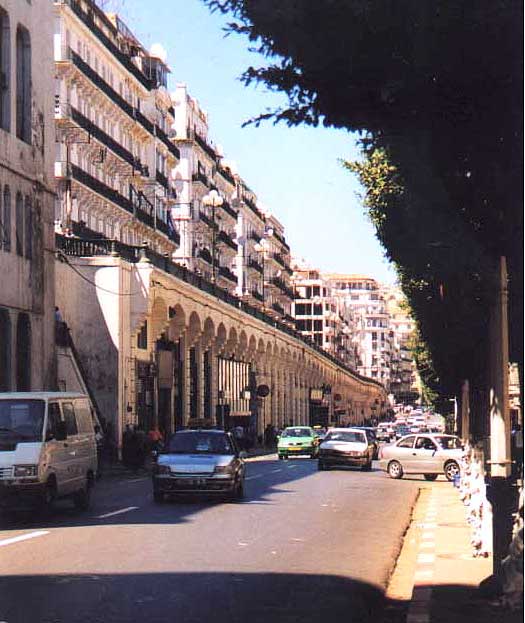 Alger la blanche- Alger