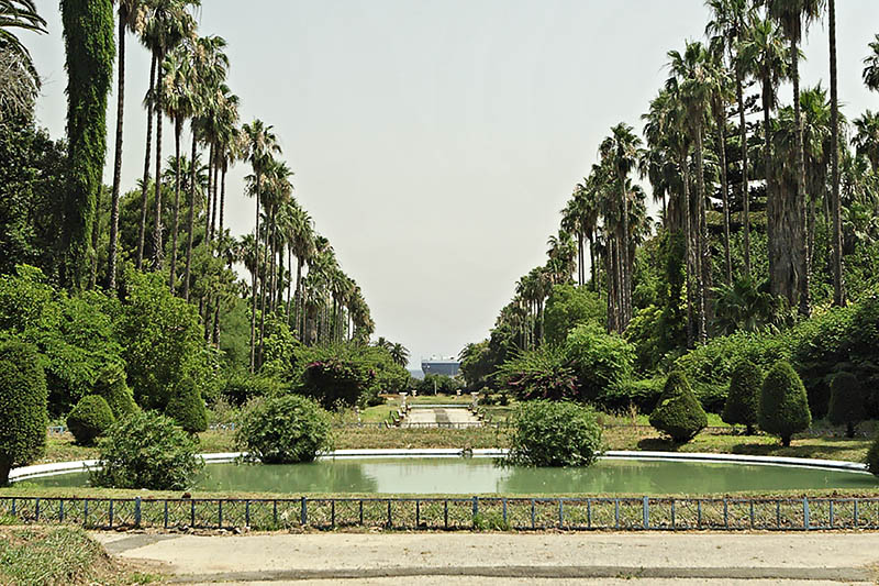 Jardin d'essai- El Hamma- Alger