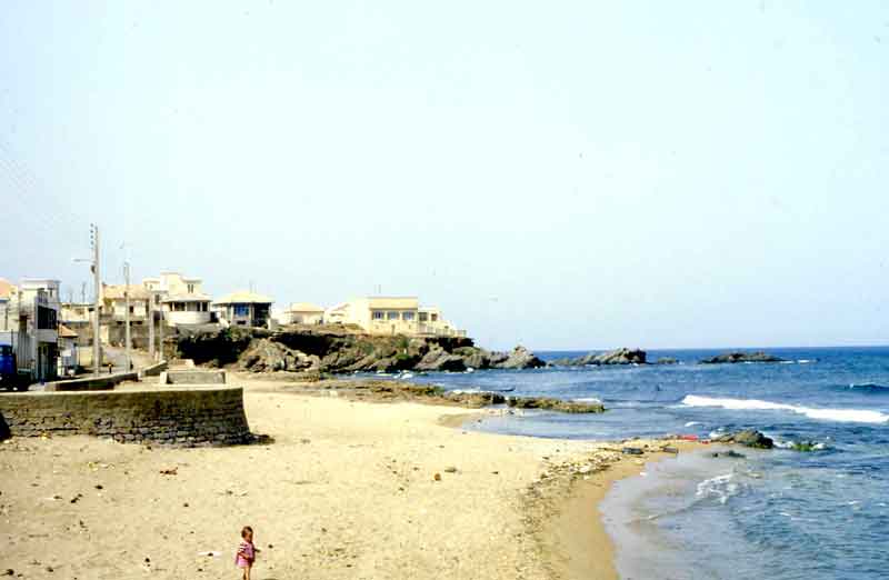 La madrague- La plage- Alger
