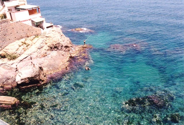 Alger-La plage de vigie