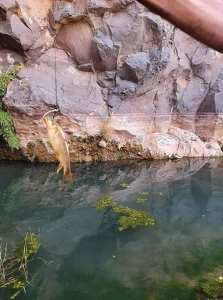 حظيرة الأهقار الوطنية  إسقراسن  بصحراء بلدية إدلس _تمنراست