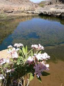 حظيرة الأهقار الوطنية  إسقراسن  بصحراء بلدية إدلس _تمنراست