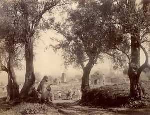 Algérie- Ancienne photo