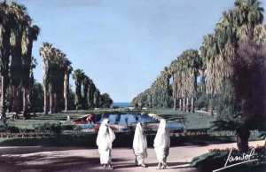 Alger- Femmes- HAYEK