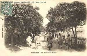 Boufarik-Avenue du marché