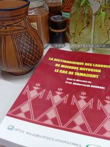 La dictionnairique des langues de moindre diffusion : le cas de Tamazight