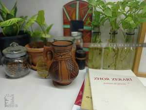 Zhor Zerari : poèmes de prison