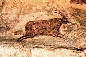 رسومات كهوف جابارن و تاماريت في إليزي 6