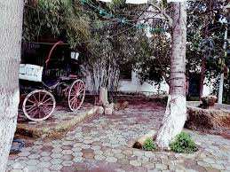 قيمة تاريخية يحويها متحف الأمير عبد القادر مدينة مليانة ولاية عين الدفلى 20