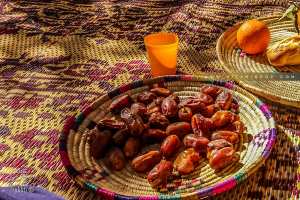 El Hmira, dattes récoltées dans l'oasis de Guentour