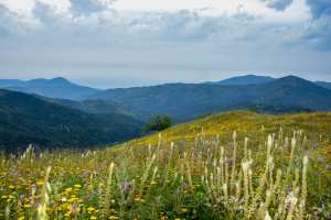 Kabylie- Djebla- Montagnes