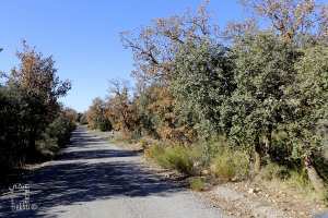 La réserve de chasse de Moutas: espace écologique pour la protection des espèces animales