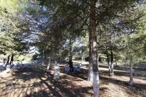 Espace de repos dans la reserve de Chasse de Moutas