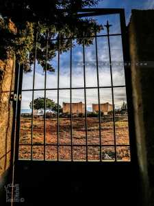 Cimetière des Ouled Ammar (Beni Khellad)