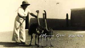 نعام الجزائر المنقرض