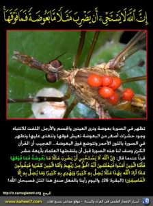 تفسير الآية