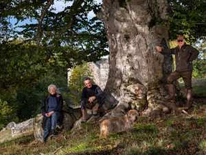 Planète/Europe./France - Arbre de l'année 2020: et les plus beaux arbres du patrimoine français sont...