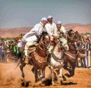 الفروسية في الجلفة