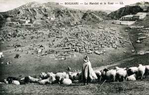 le marché et le ksar